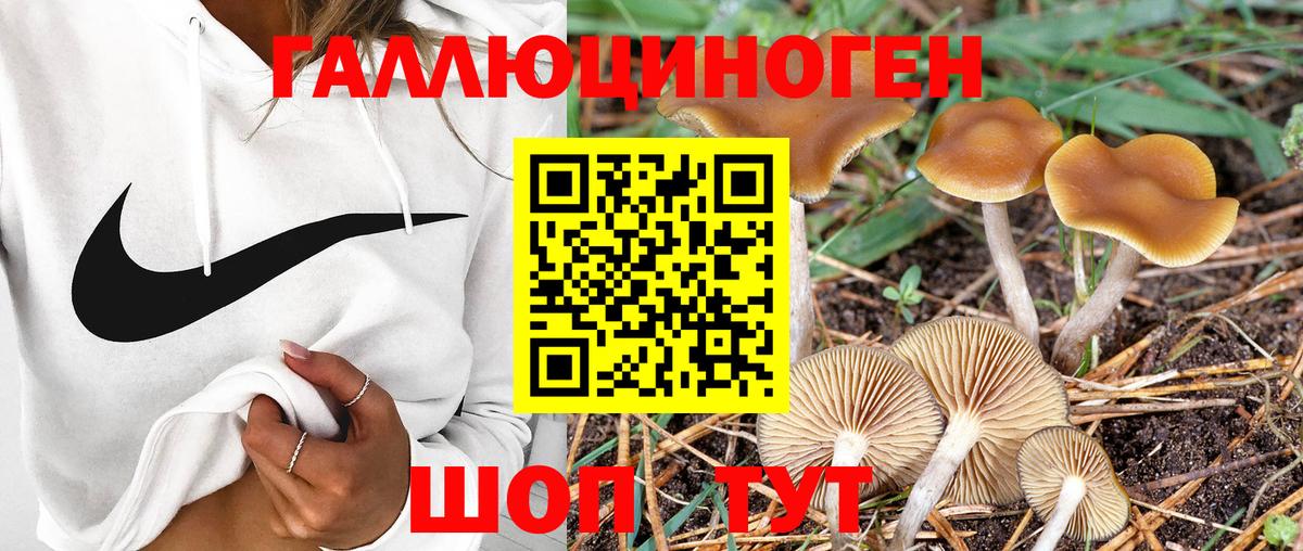 Псилоцибиновые грибы мухоморы Саров