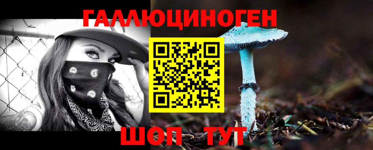 Псилоцибиновые грибы Cubensis  Вход с VPN  Саров  Псилоцибиновые грибы Psilocybe 